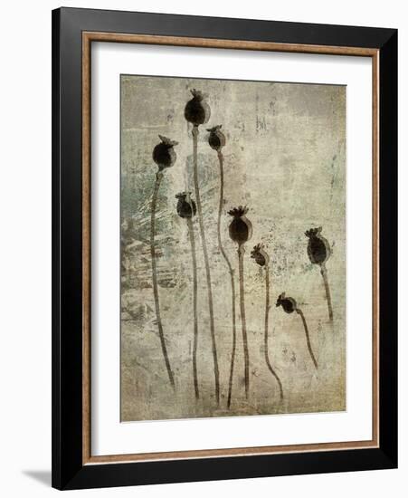 Poppy seedlings-Nel Talen-Framed Photographic Print