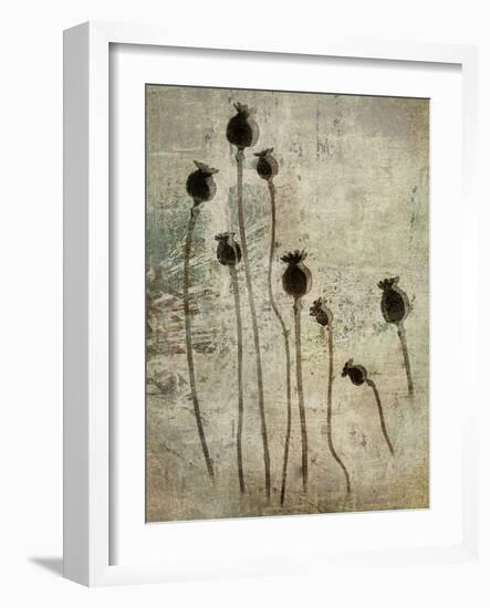 Poppy seedlings-Nel Talen-Framed Photographic Print