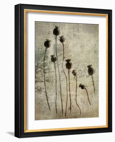 Poppy seedlings-Nel Talen-Framed Photographic Print