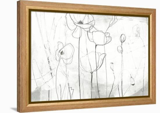 Poppy Sketches I-June Vess-Framed Stretched Canvas