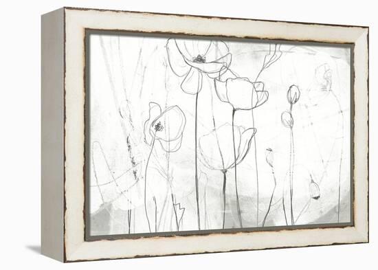 Poppy Sketches I-June Vess-Framed Stretched Canvas