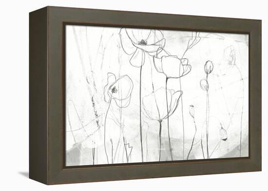 Poppy Sketches I-June Vess-Framed Stretched Canvas