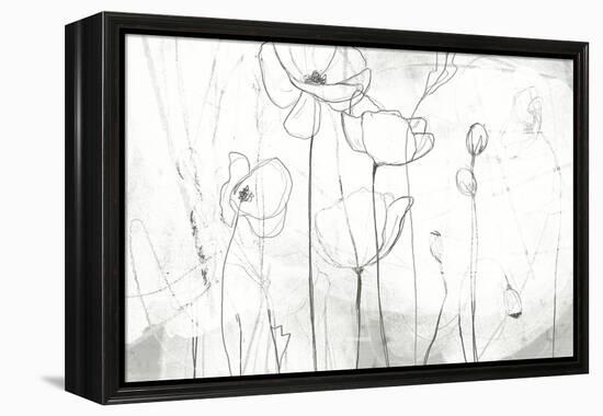 Poppy Sketches I-June Vess-Framed Stretched Canvas