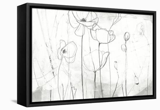 Poppy Sketches I-June Vess-Framed Stretched Canvas