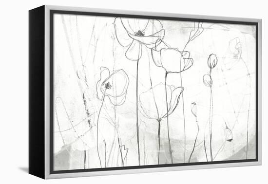 Poppy Sketches I-June Vess-Framed Stretched Canvas