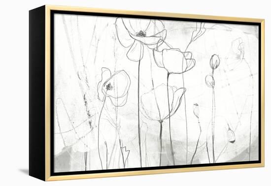 Poppy Sketches I-June Vess-Framed Stretched Canvas