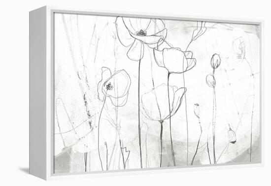 Poppy Sketches I-June Vess-Framed Stretched Canvas