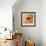 Poppy Solo-Joseph Eta-Framed Giclee Print displayed on a wall