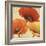 Poppy Spice I-Daphne Brissonnet-Framed Art Print