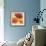 Poppy Spice I-Daphne Brissonnet-Framed Art Print displayed on a wall