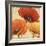 Poppy Spice I-Daphne Brissonnet-Framed Art Print