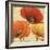 Poppy Spice I-Daphne Brissonnet-Framed Art Print