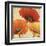 Poppy Spice I-Daphne Brissonnet-Framed Art Print