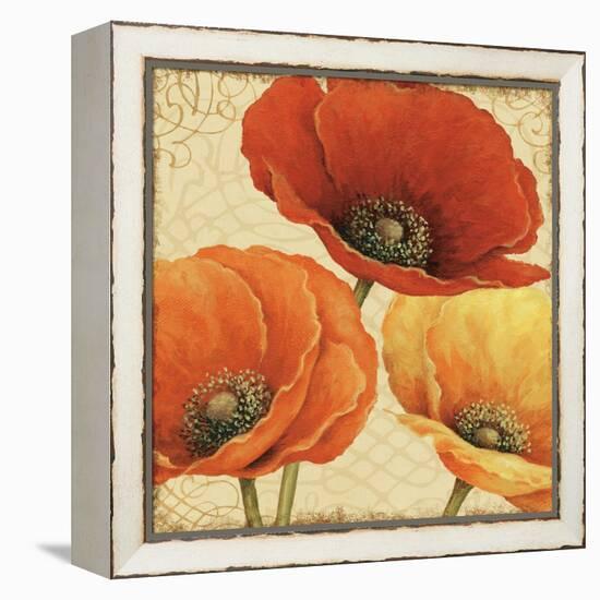 Poppy Spice I-Daphne Brissonnet-Framed Stretched Canvas