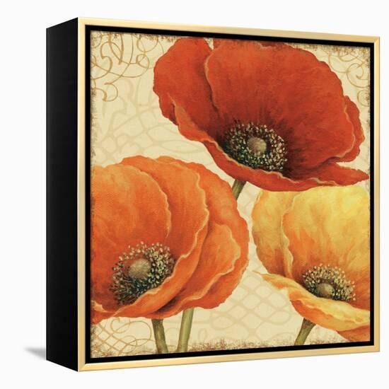 Poppy Spice I-Daphne Brissonnet-Framed Stretched Canvas