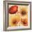 Poppy Spice III-Daphne Brissonnet-Framed Art Print