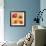 Poppy Spice III-Daphne Brissonnet-Framed Art Print displayed on a wall