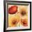 Poppy Spice III-Daphne Brissonnet-Framed Art Print