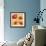 Poppy Spice III-Daphne Brissonnet-Framed Art Print displayed on a wall