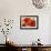 Poppy Splendor I-Lanie Loreth-Framed Art Print displayed on a wall