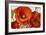 Poppy Splendor I-Lanie Loreth-Framed Art Print