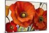 Poppy Splendor I-Lanie Loreth-Mounted Art Print