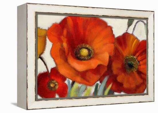 Poppy Splendor I-Lanie Loreth-Framed Stretched Canvas