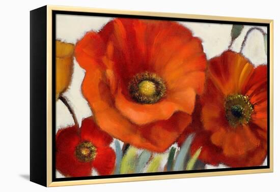 Poppy Splendor I-Lanie Loreth-Framed Stretched Canvas