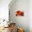 Poppy Splendor I-Lanie Loreth-Framed Stretched Canvas displayed on a wall
