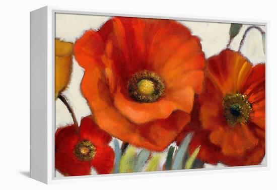 Poppy Splendor I-Lanie Loreth-Framed Stretched Canvas