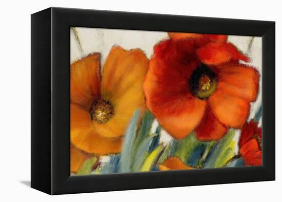 Poppy Splendor II-Lanie Loreth-Framed Stretched Canvas