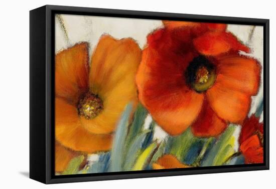 Poppy Splendor II-Lanie Loreth-Framed Stretched Canvas