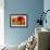Poppy Splendor II-Lanie Loreth-Framed Art Print displayed on a wall
