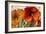 Poppy Splendor II-Lanie Loreth-Framed Art Print