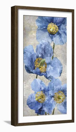 Poppy Splendour I-Tania Bello-Framed Giclee Print