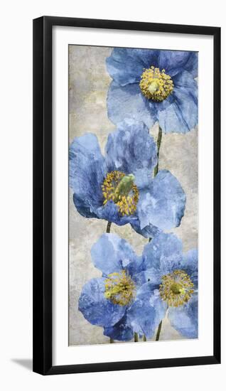 Poppy Splendour I-Tania Bello-Framed Giclee Print