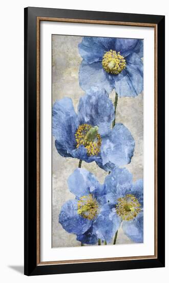 Poppy Splendour I-Tania Bello-Framed Giclee Print