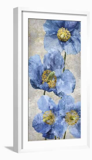 Poppy Splendour I-Tania Bello-Framed Giclee Print