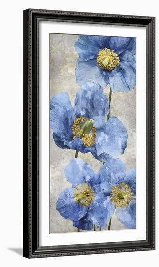 Poppy Splendour I-Tania Bello-Framed Giclee Print