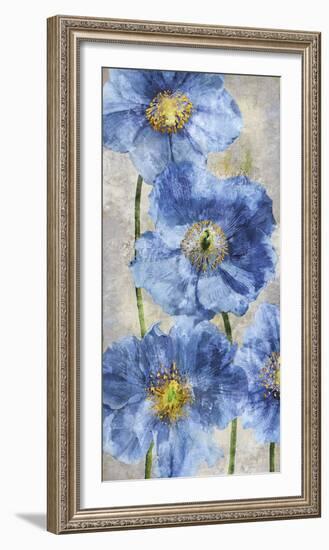 Poppy Splendour II-Tania Bello-Framed Giclee Print