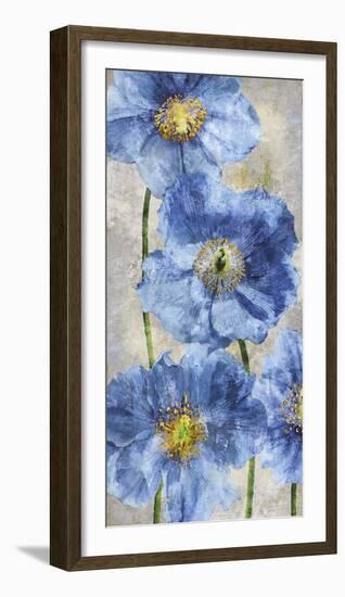 Poppy Splendour II-Tania Bello-Framed Giclee Print