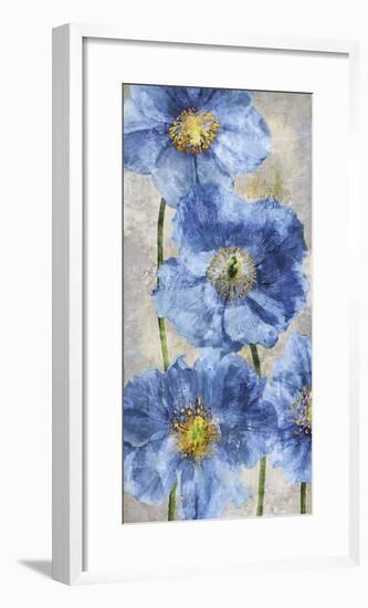 Poppy Splendour II-Tania Bello-Framed Giclee Print