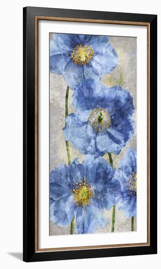 Poppy Splendour II-Tania Bello-Framed Giclee Print