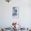 Poppy Splendour II-Tania Bello-Framed Giclee Print displayed on a wall