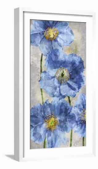 Poppy Splendour II-Tania Bello-Framed Giclee Print