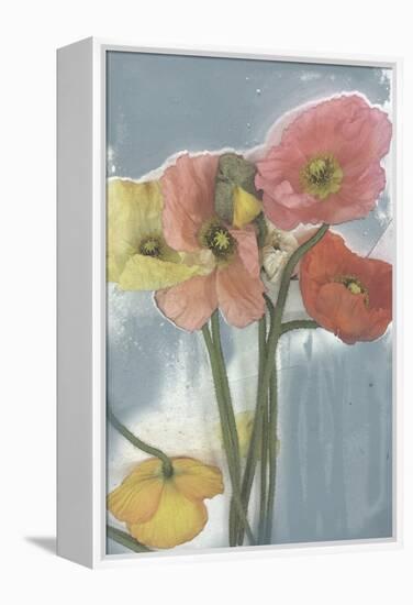 Poppy Spray II-Jennifer Goldberger-Framed Stretched Canvas