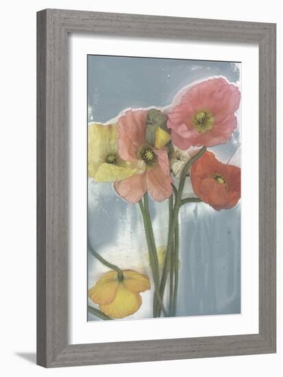 Poppy Spray II-Jennifer Goldberger-Framed Art Print