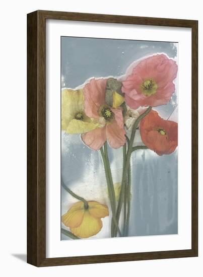 Poppy Spray II-Jennifer Goldberger-Framed Art Print