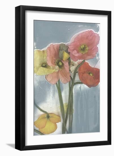 Poppy Spray II-Jennifer Goldberger-Framed Art Print