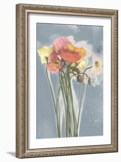 Poppy Spray III-Jennifer Goldberger-Framed Art Print